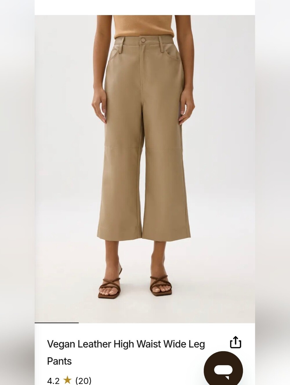 Vegan Leather High-Waist Wide Leg Pants — Tan